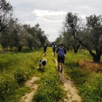 09 03 2019 Korifasi Petrochori Romanos C04