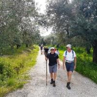 09 03 2019 Korifasi Petrochori Romanos C05