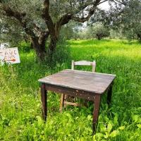 09 03 2019 Korifasi Petrochori Romanos C07