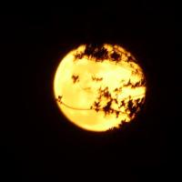 21 03 2019 Full Moon Petalidi