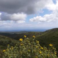 10 04 2019 Walk From Yamia Selectie 6