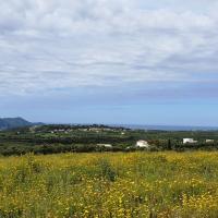 13 04 2019 Finiki Evangelismos Lambes