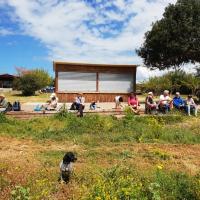 2019 04 13 Finiki Evangelismos Lambes C12