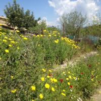 20 04 2019anatolikimilitsaimg 6536
