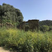 27 04 2019 Finikounda Beach
