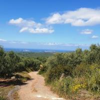 08 05 2019 Chandrinou Kremidia Koukounara