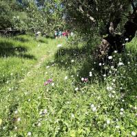 08 05 2019 Finiki Valleywalk A05