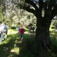 08 05 2019 Finiki Valleywalk M02