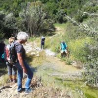 08 05 2019 Finiki Valleywalk M10