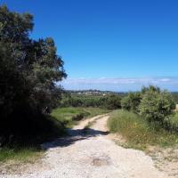 08 05 2019 Lovely Walk From Finiki
