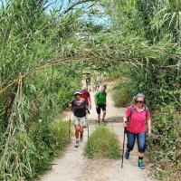 2019 05 15 Koroni Chrisokellaria C21
