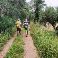 2019 05 15 Koroni Chrisokellaria K14