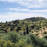 2019 05 15 Koroni Chrisokellaria K23