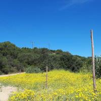 12 06 2019 New Route Near Evangelismos