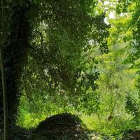 15 06 2019 Finikounda River Walk