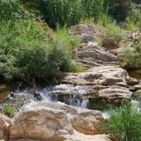 22 06 2019 Tzane Neromilos