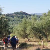 03 07 2019 Agios Andreas C05