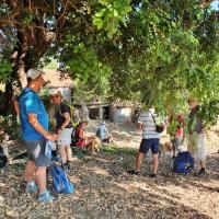 03 07 2019 Agios Andreas C11