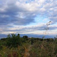 17 07 2019 Evening Walk Kalamaki K08
