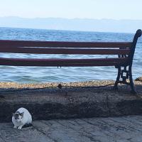 09 10 2019 Harokopio Koroni21