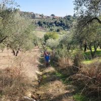 16 10 2019 Neromilos C10