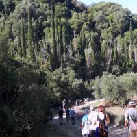 19 10 2019 Around Evangelismos