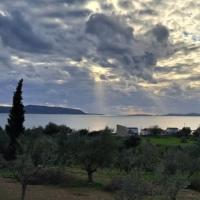 Img 20241223 Wa0093