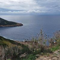 Img 20250104 Wa0114