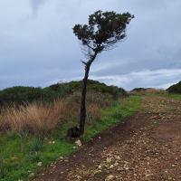 Img 20250104 Wa0121