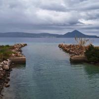 Img 20250104 Wa0123