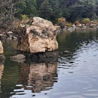 Img 20250104 Wa0139