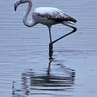 Img 20250104 Wa0143
