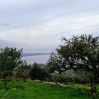Img 20250111 Wa0112