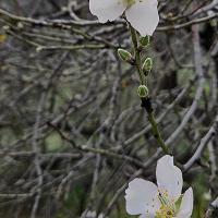 Img 20250111 Wa0114