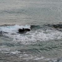 Img 20250111 Wa0116