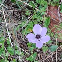 Img 20250111 Wa0120