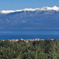Img 20250118 Wa0067