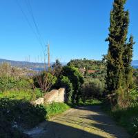Img 20250118 Wa0084
