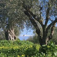 Img 20250118 Wa0092
