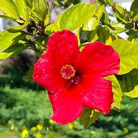 Img 20250118 Wa0093