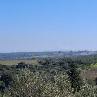 Img 20250125 Wa0050