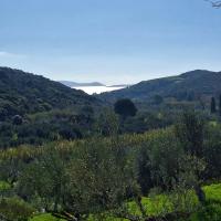 Img 20250125 Wa0058