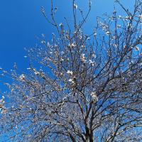 Img 20250201 Wa0014