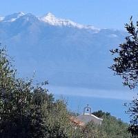 Img 20250201 Wa0032