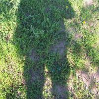 Img 20250201 Wa0074
