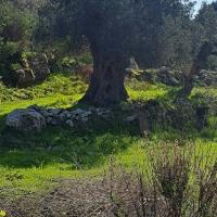Img 20250208 Wa0040