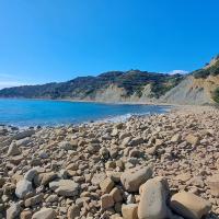 Img 20250208 Wa0046