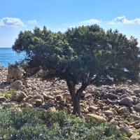 Img 20250208 Wa0054