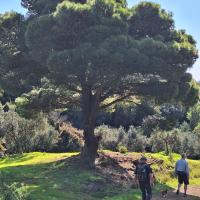 Img 20250208 Wa0056
