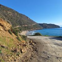 Img 20250208 Wa0061